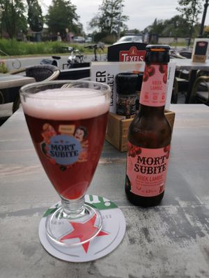 Kriek beer, cherry beer, fits nicely with the burgers at Het Heerenhuis in Wijdewormer