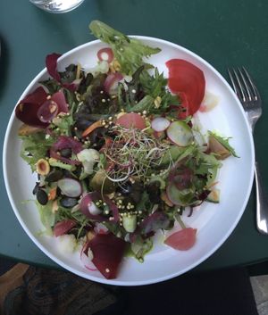 seasonal salad with veggies, sprouts and seeds  at HYG Restaurant & Bar in Weggis
