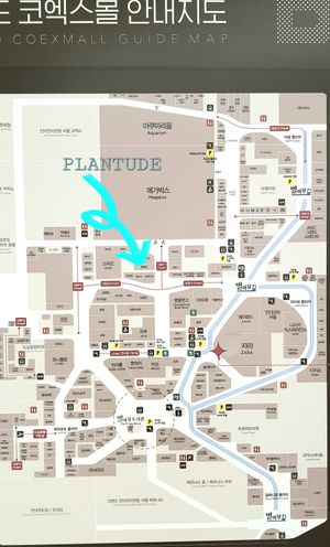 location of restaurant on map at Plantude 플랜튜드 in Seoul