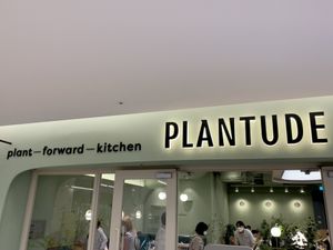 Location has a nice flair  at Plantude 플랜튜드 in Seoul
