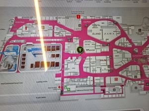 Location next to Godiva at Plantude 플랜튜드 in Seoul