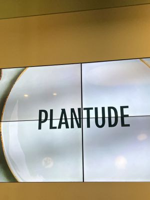   at Plantude 플랜튜드 in Seoul