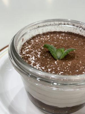 Tiramisu   at Plantude 플랜튜드 in Seoul
