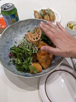 Hand for scale, meals are massive! at Plantude 플랜튜드 in Seoul