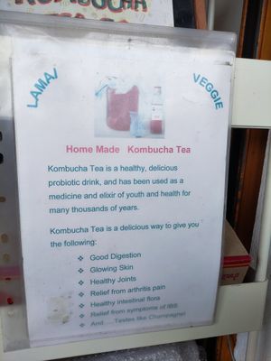 Kombucha at Lamai Veggie in Koh Samui