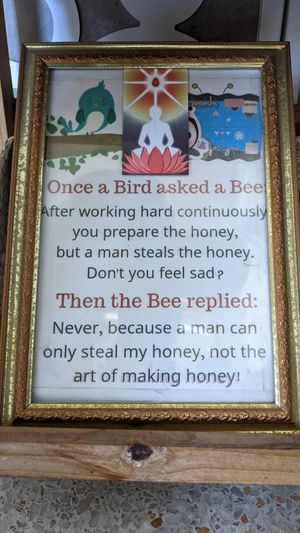 Poster at Lamai Veggie in Koh Samui