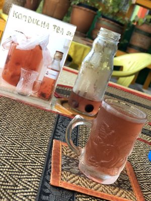 Fresh home brewed kombucha!  at Lamai Veggie in Koh Samui