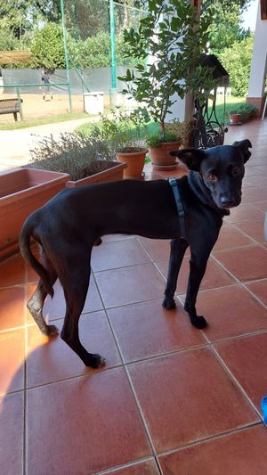  at GreenBar in Rozzano