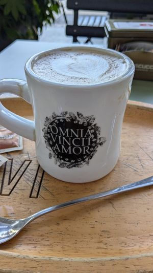 Large cappuccino. at Caffè Pascucci in Milan