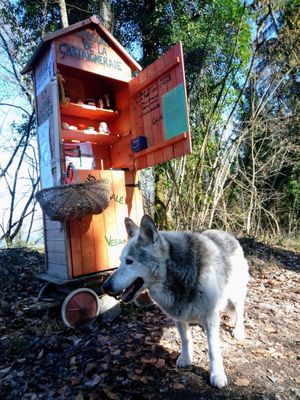 Le petit kiosque est situé au bord du sentier Panoramique du Bouveret à Saint-Gingolph. at Kiosque de la Châtaigneraie in Saint Gingolph