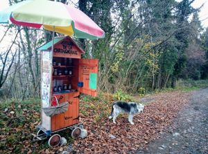Kiosque au bord du sentier panoramique du Bouveret à Saint-Gingolph et en ligne : 
www.kiosquedelachataigneraie.ch at Kiosque de la Châtaigneraie in Saint Gingolph