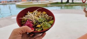  at NEXT HOTEL in Funchal