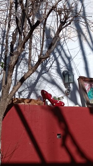  at El Higo in Granada