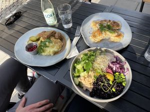 Vegeballs plate, Toonish bowl, and dumplings   at  Verte in Stockholm