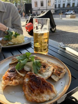 Dumplings. May 2024  at  Verte in Stockholm