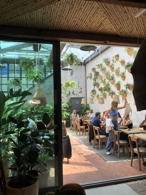 Outdoor seating at rear  at Honest Greens in Porto