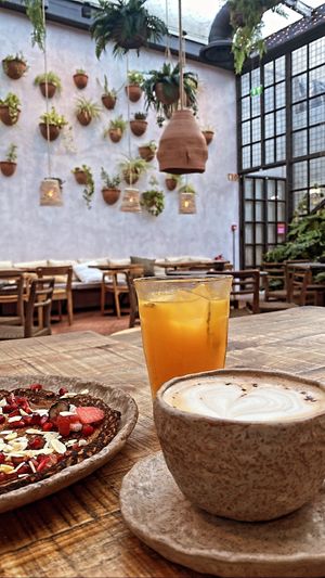 Backyard area  at Honest Greens in Porto