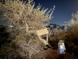   at Il Bruco Errante in Portoferraio
