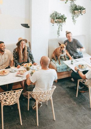 Dog friendly, relaxed vibe at Surfin Coffee & Bowls in Costa Da Caparica