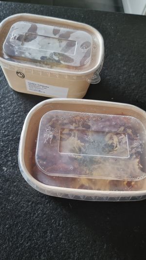 Frozen dishes - lasagne at Nieuwe Vaart in Antwerpen