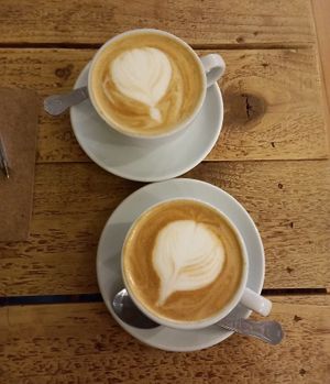  at The Bach in Dundee