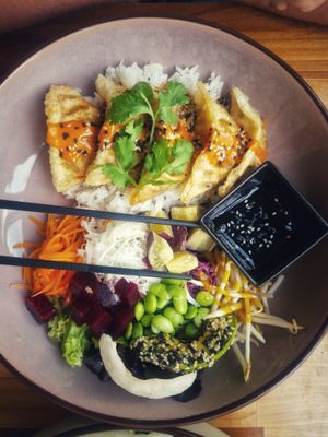 Vegan Gyoza Bowl at Bome in Vechta