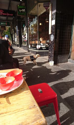 Outdoor seating at Lentil As Anything in St Kilda