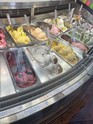 flavors (you can tell by the white signs which ones are vegan)   at Gelato Paradiso in Coronado