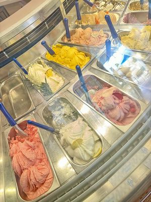 Eight vegan flavors to choose from  at Gelato Paradiso in Coronado