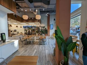  at elephant+vine in Chicago