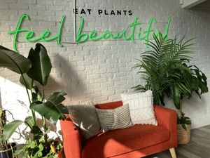   at elephant+vine in Chicago