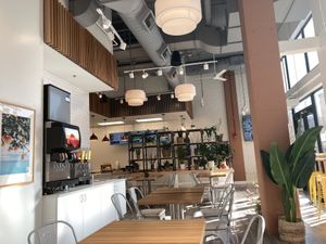   at elephant+vine in Chicago