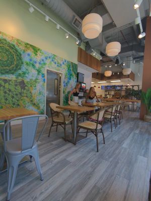  at elephant+vine in Chicago