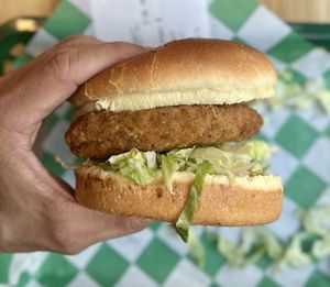 Elechik’n  at elephant+vine in Chicago