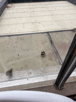 funny little birds waiting for some crumbs:) at Carolinas Petit Cafe & Tearoom in Sliema