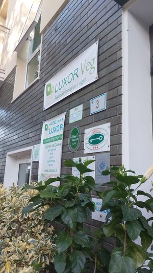  at Hotel Luxor in Bellaria-igea Marina