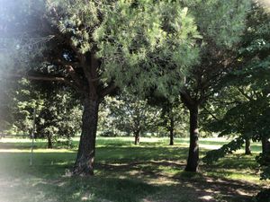 Il parco   at Hotel Luxor in Bellaria-igea Marina