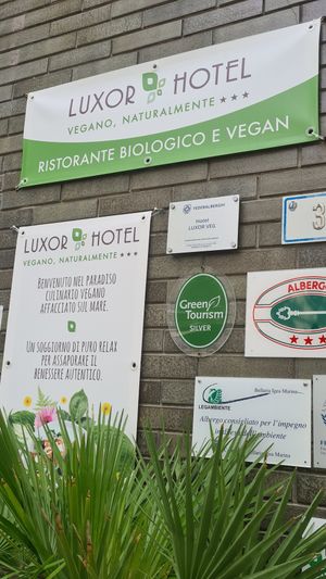 Ingresso at Hotel Luxor in Bellaria-igea Marina