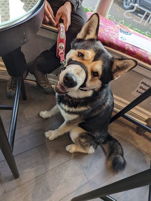  at The Chakra Lounge in Bakewell