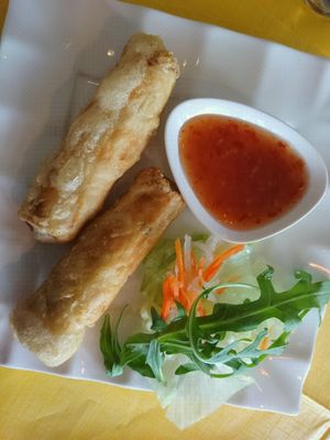 vegan spring rolls at Samadhi in Berlin