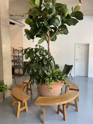 Indoor 4  at Intense Coffee in Luxembourg City