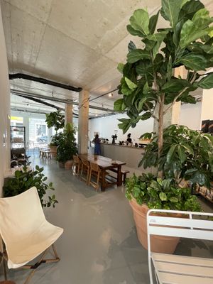 Indoor 1  at Intense Coffee in Luxembourg City