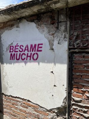   at MAWE Cocina Vegana in Mazatlan