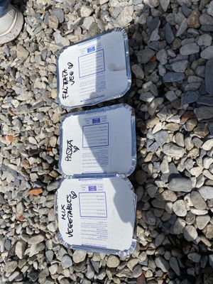 All vegan food by the beach!   at Te lo do io il Vegano / La Stella Vegan in Lierna