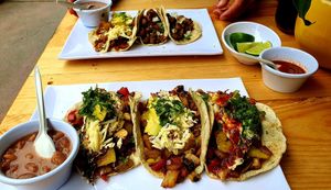  at Te Quiero Verde in Puerto Vallarta