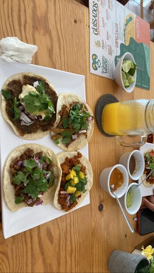   at Te Quiero Verde in Puerto Vallarta