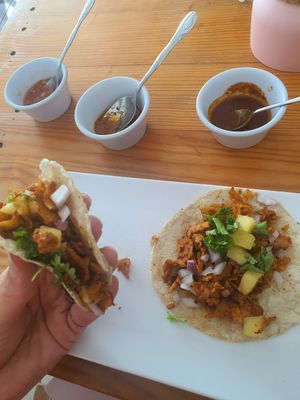  at Te Quiero Verde in Puerto Vallarta