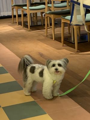   at Five Seventh - 칠분의 오  in Jeju