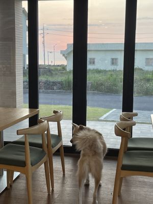   at Five Seventh - 칠분의 오  in Jeju