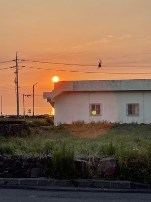   at Five Seventh - 칠분의 오  in Jeju